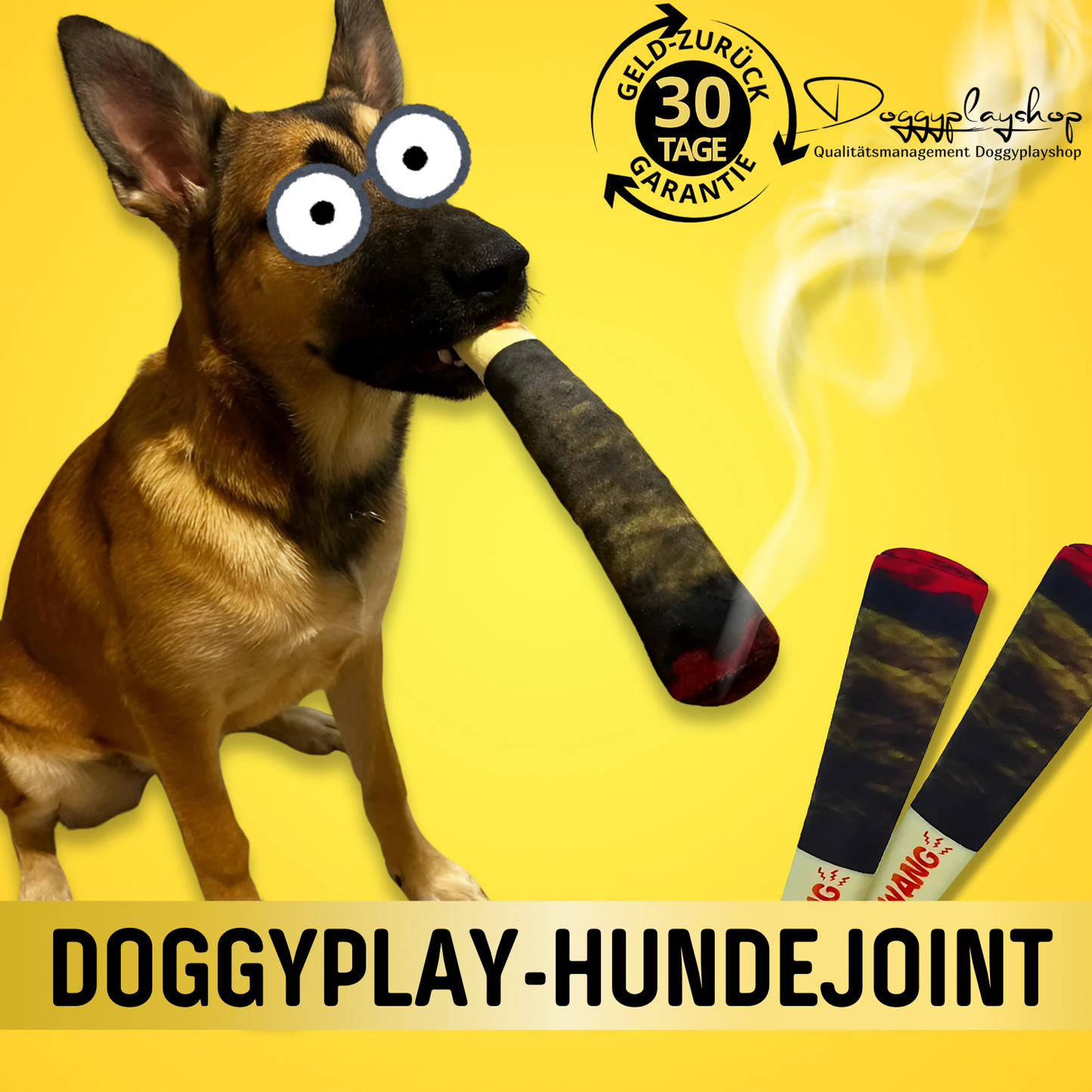 DoggyPlay-Hundejoint