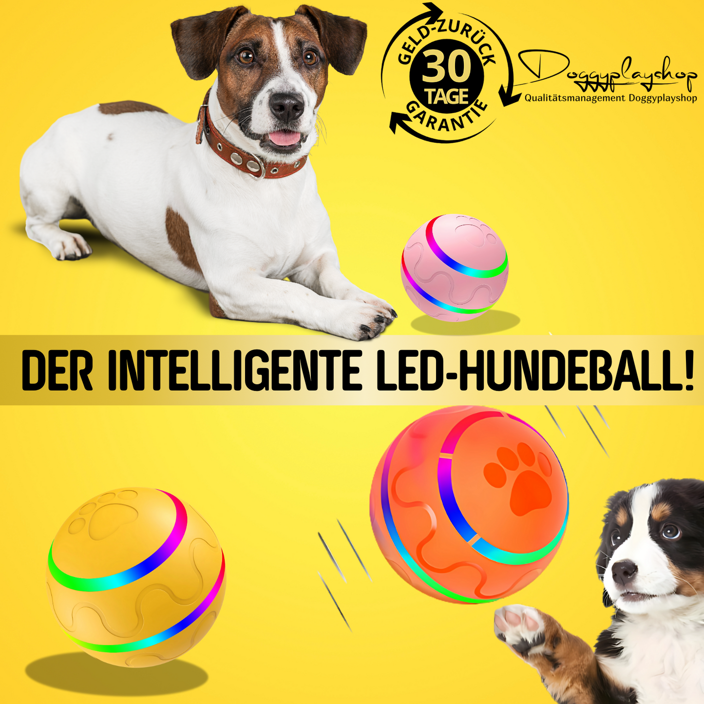 DoggyPlay-Intelligenter-LED-Hundeball