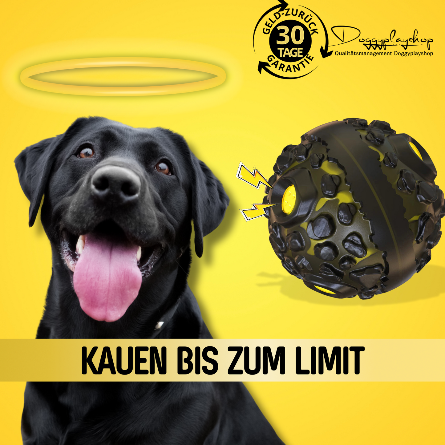 DoggyPlay-Unzerstörbarer-Hundeball