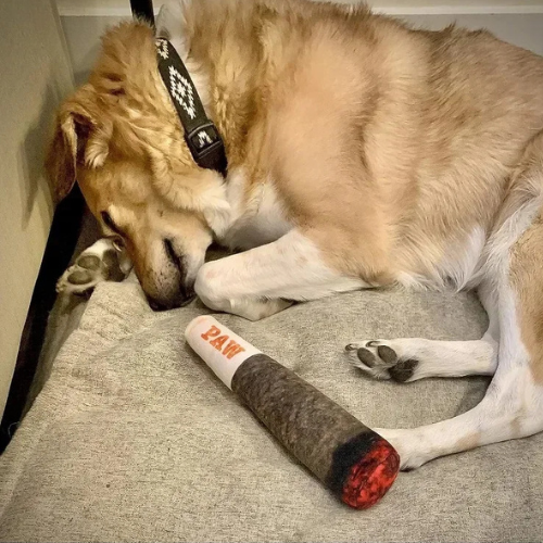 DoggyPlay-Hundejoint