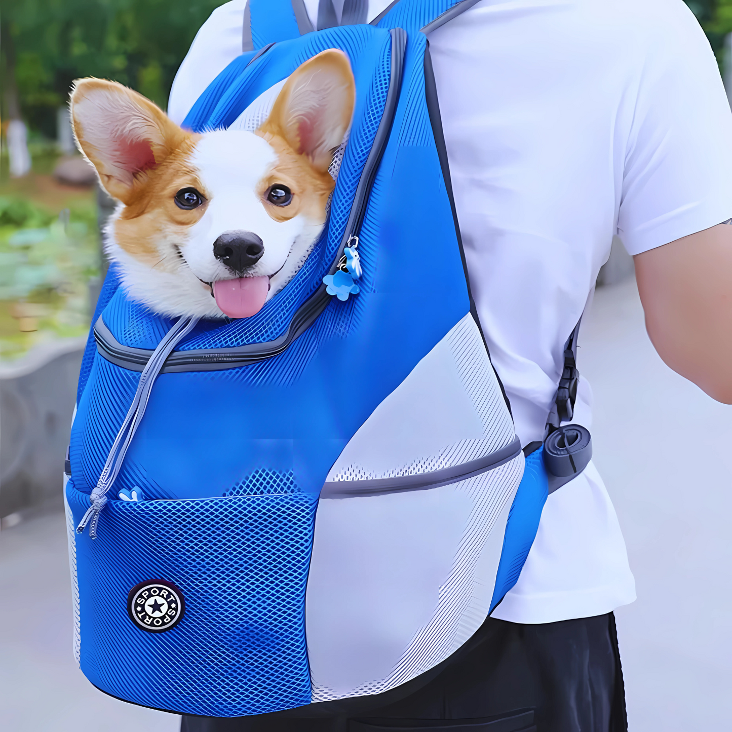 DoggyPlayShop-Bequemer Hunde-Rucksack