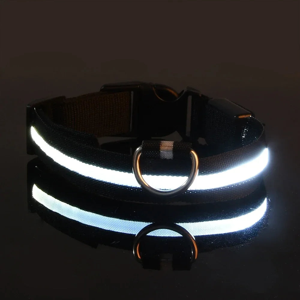 DoggyPlay-LED-Hundeleine