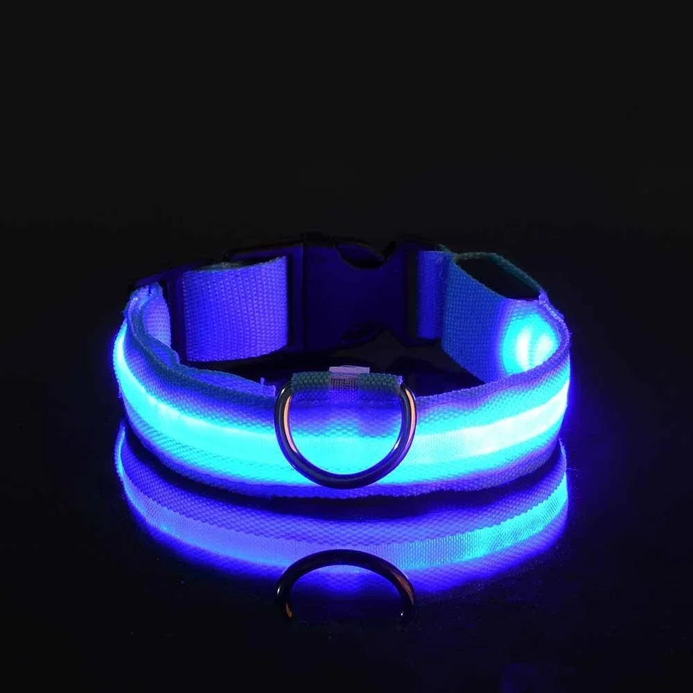 DoggyPlay-LED-Hundeleine