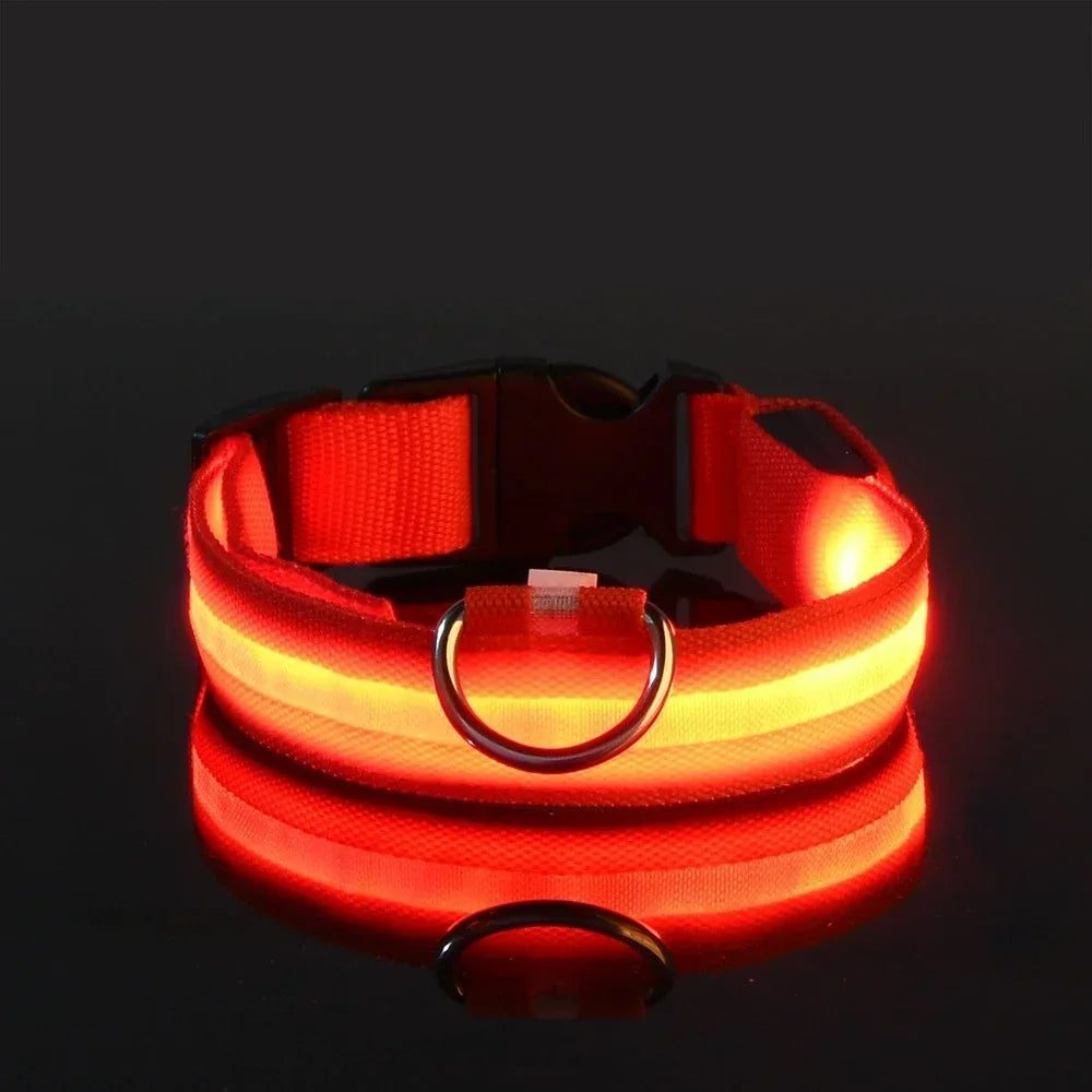 DoggyPlay-LED-Hundeleine