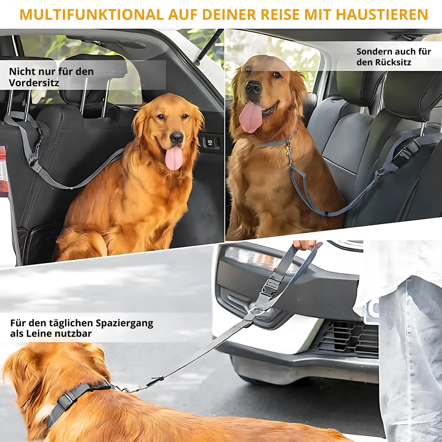 DoggyPlay-MultiSafe-Hunde-Sicherheitsgurt & Leine