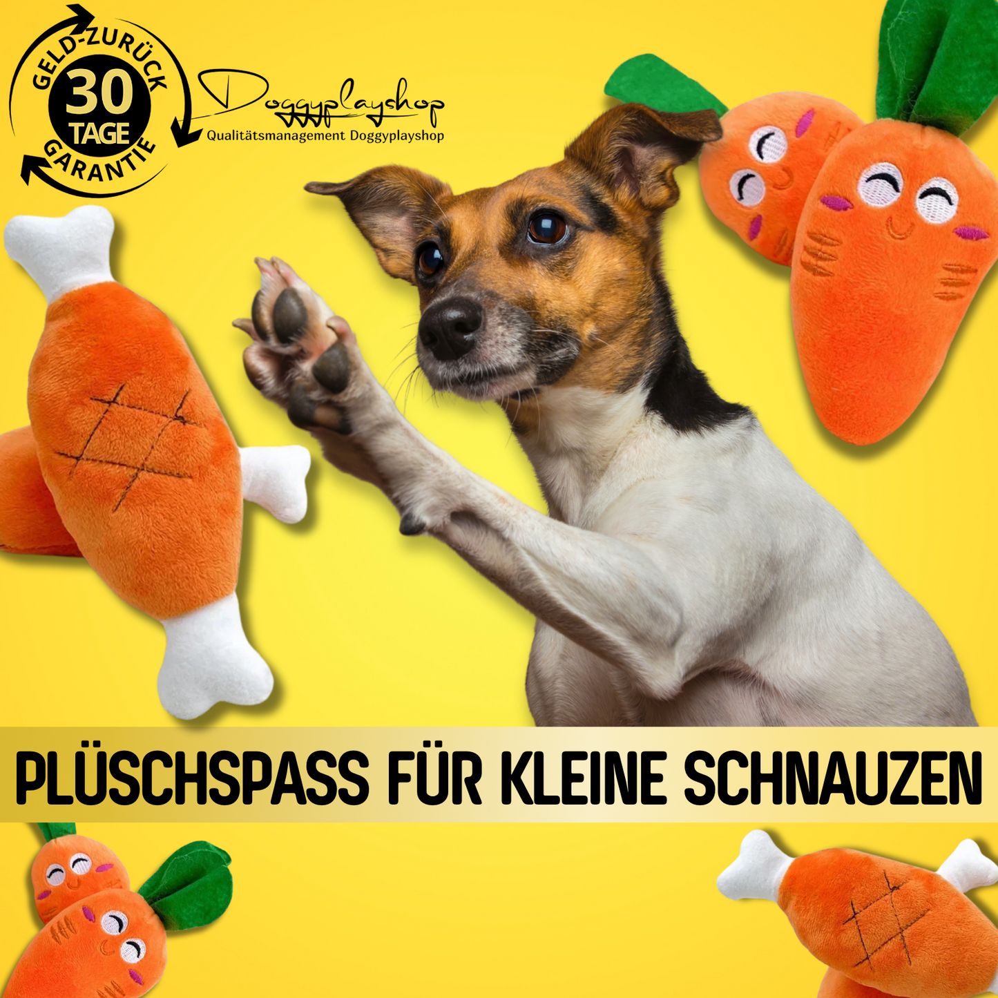 DoggyPlay-Plüschquietschende-Möhre