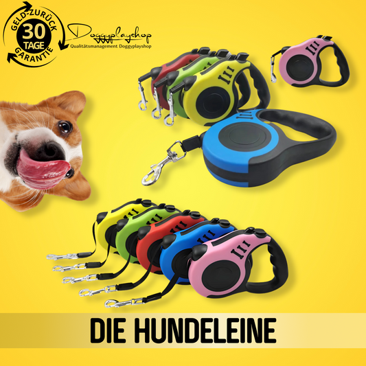 DoggyPlay-Hundeleine