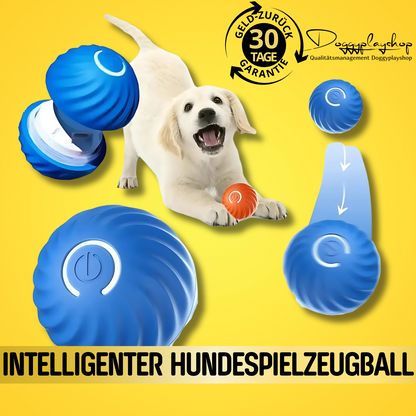 DoggyPlay-Intelligenter Hundespielzeugball