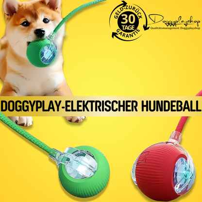 DoggyPlay-Elektrischer Hundeball