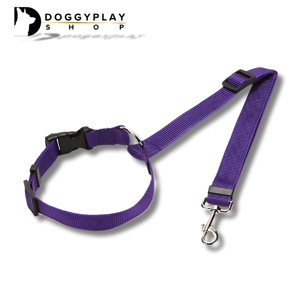DoggyPlay-MultiSafe-Hunde-Sicherheitsgurt & Leine