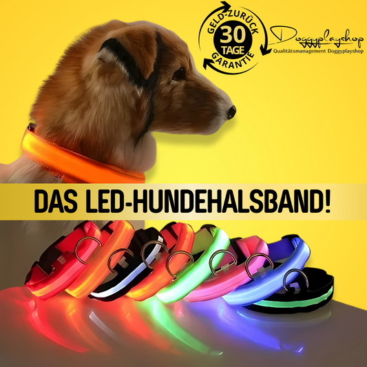 DoggyPlay-LED-Hundeleine
