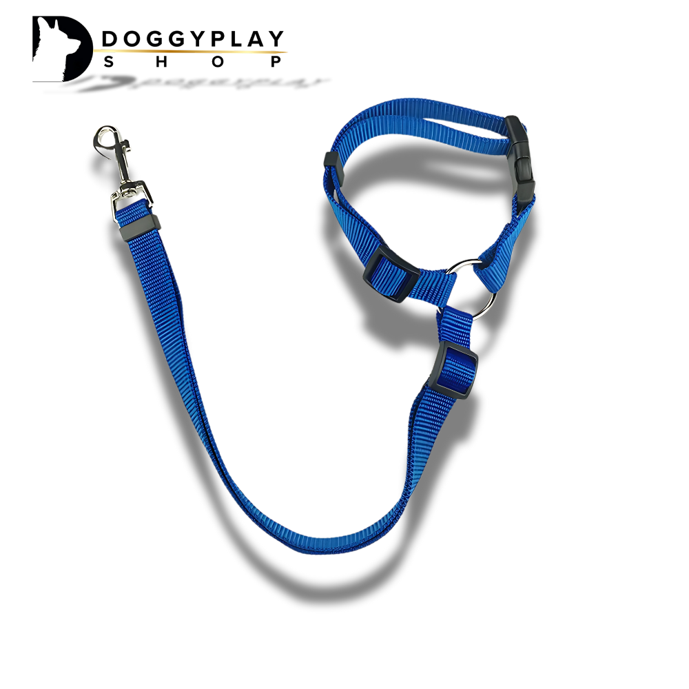 DoggyPlay-MultiSafe-Hunde-Sicherheitsgurt & Leine