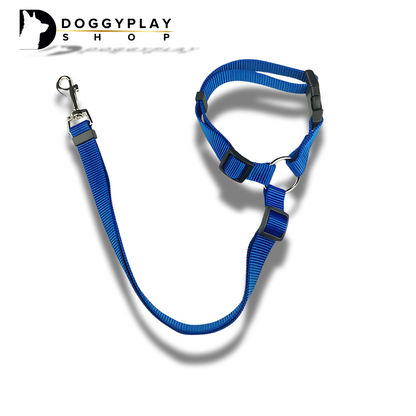DoggyPlay-MultiSafe-Hunde-Sicherheitsgurt & Leine