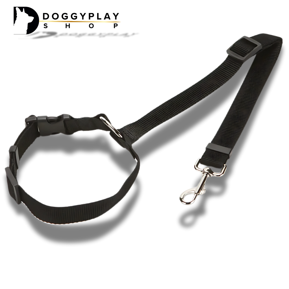 DoggyPlay-MultiSafe-Hunde-Sicherheitsgurt & Leine