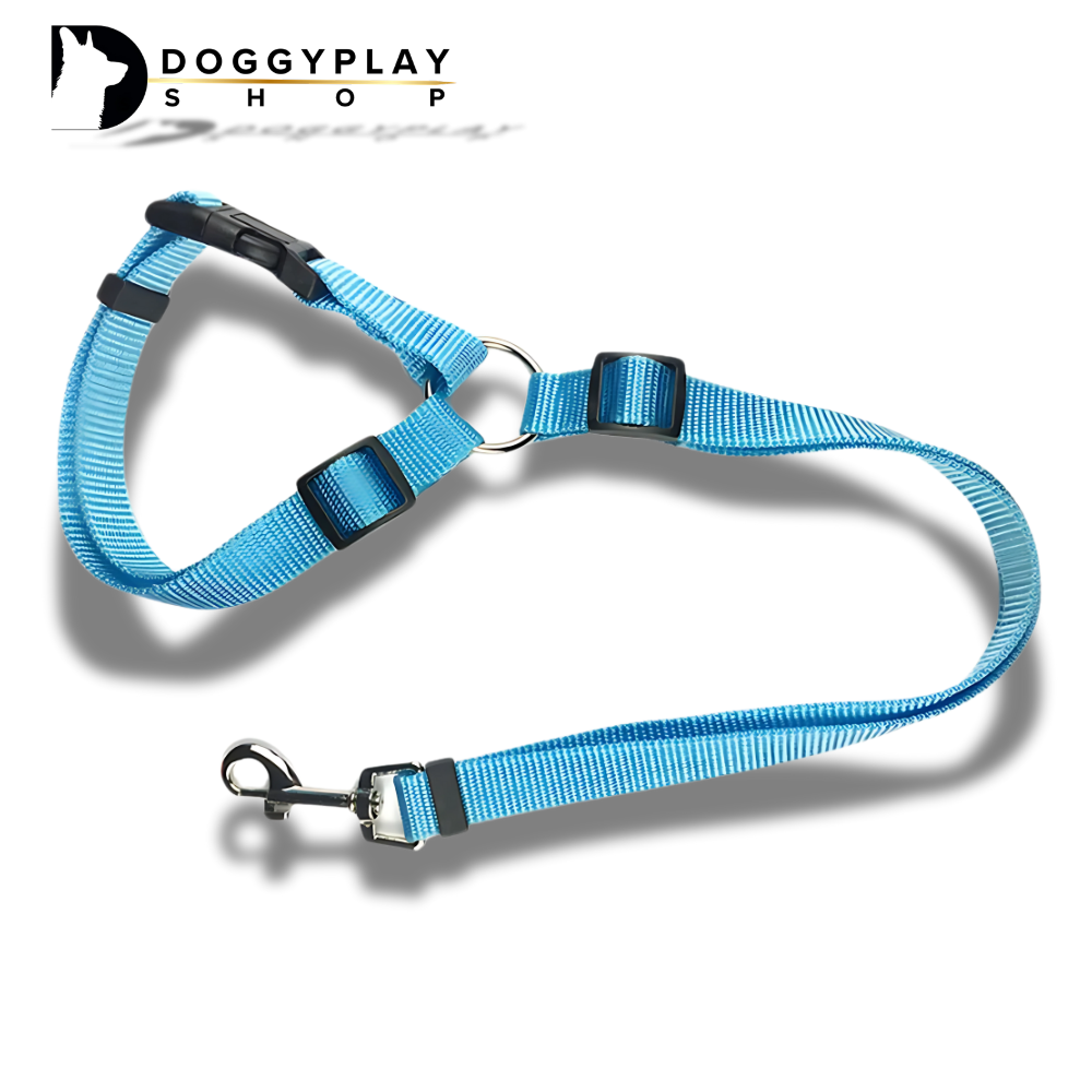 DoggyPlay-MultiSafe-Hunde-Sicherheitsgurt & Leine