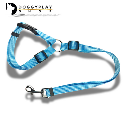 DoggyPlay-MultiSafe-Hunde-Sicherheitsgurt & Leine
