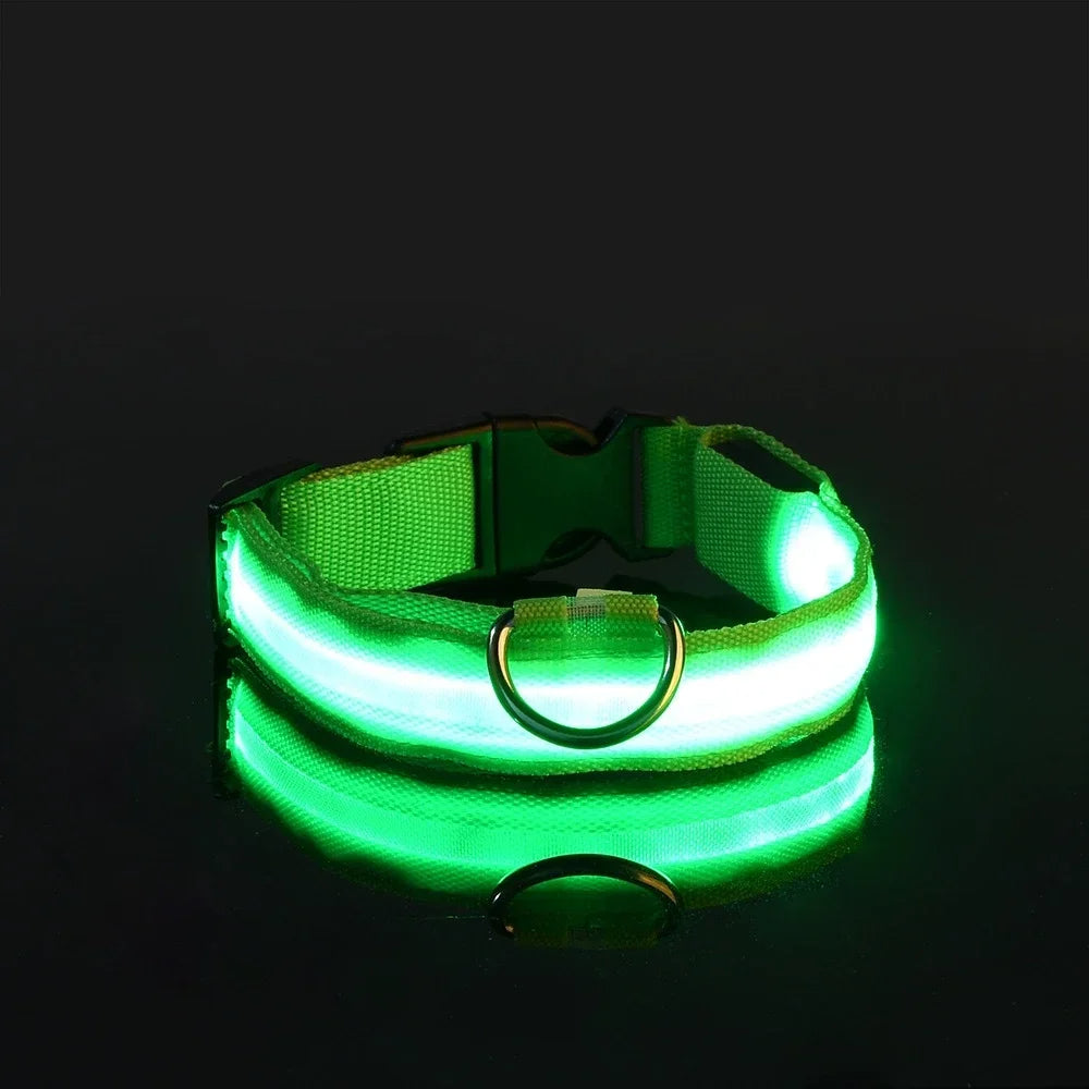 DoggyPlay-LED-Hundeleine