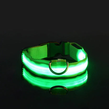 DoggyPlay-LED-Hundeleine