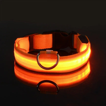 DoggyPlay-LED-Hundeleine