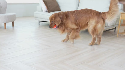 DoggyPlay-Intelligenter-LED-Hundeball