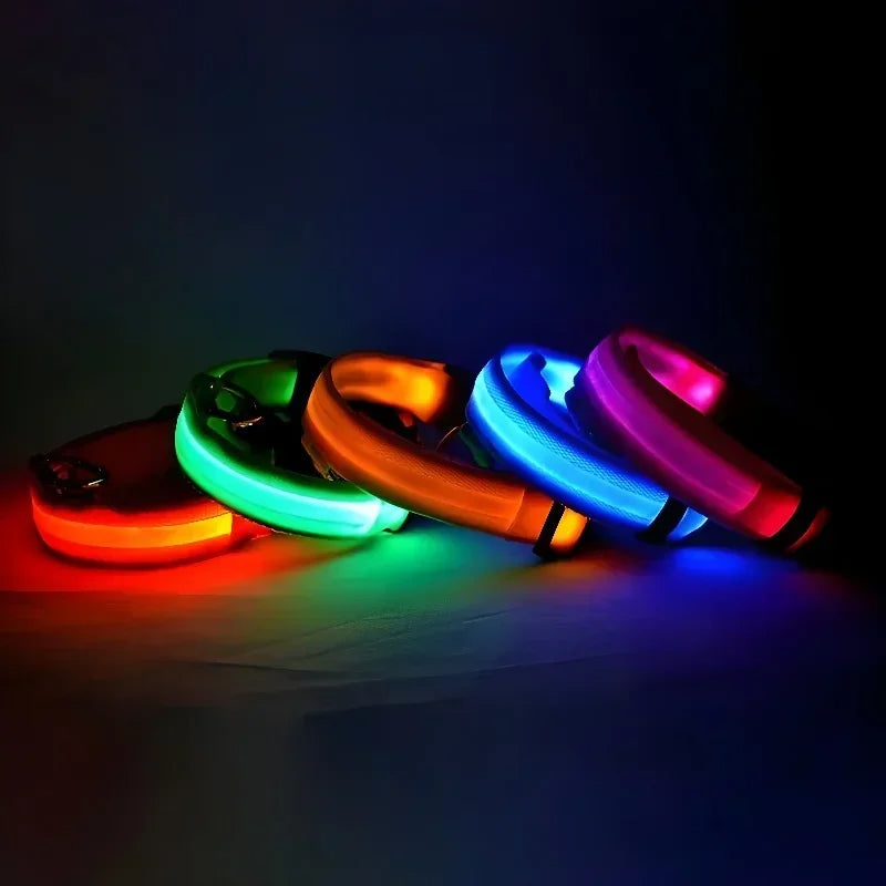 DoggyPlay-LED-Hundeleine