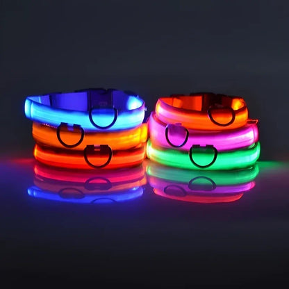 DoggyPlay-LED-Hundeleine