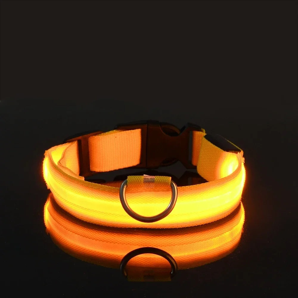 DoggyPlay-LED-Hundeleine